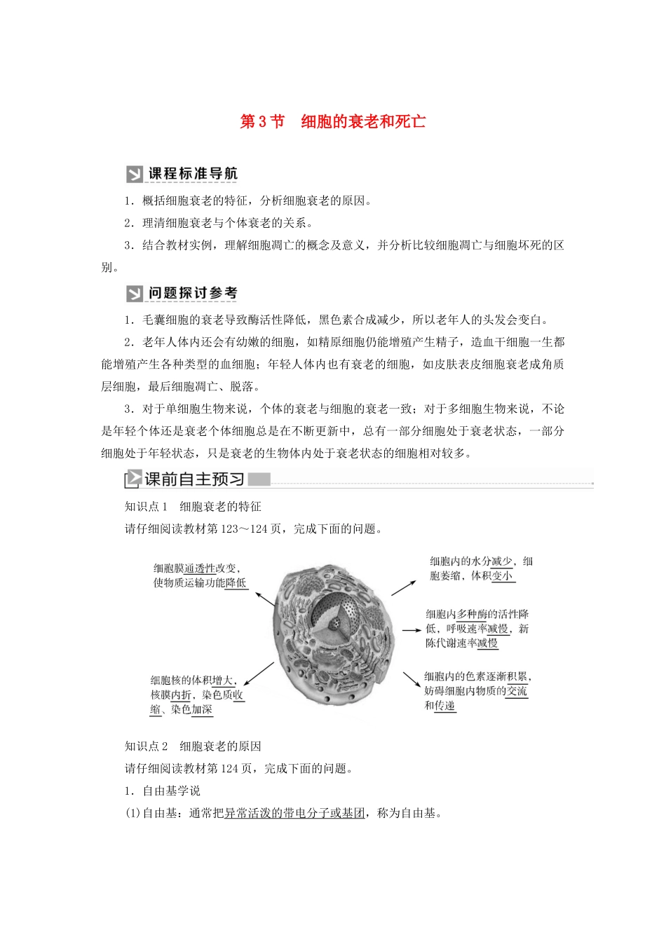 高中生物 第6章 细胞的生命历程 6-3 细胞的衰老和死亡教学案 新人教版必修1-新人教版高一必修1生物教学案_第1页
