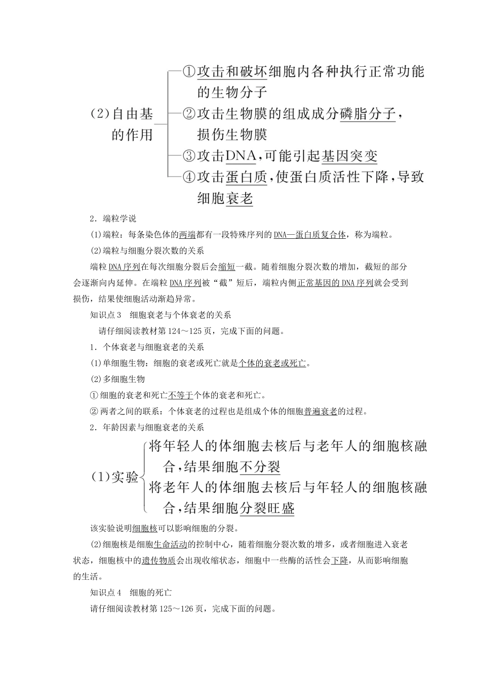 高中生物 第6章 细胞的生命历程 6-3 细胞的衰老和死亡教学案 新人教版必修1-新人教版高一必修1生物教学案_第2页