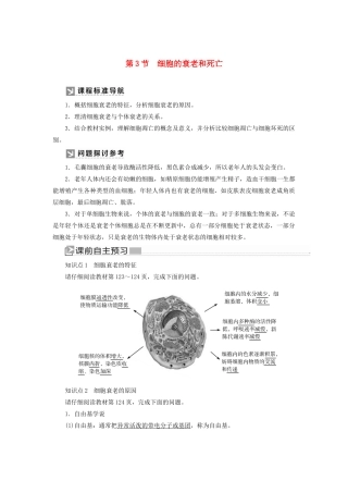 高中生物 第6章 细胞的生命历程 6-3 细胞的衰老和死亡教学案 新人教版必修1-新人教版高一必修1生物教学案