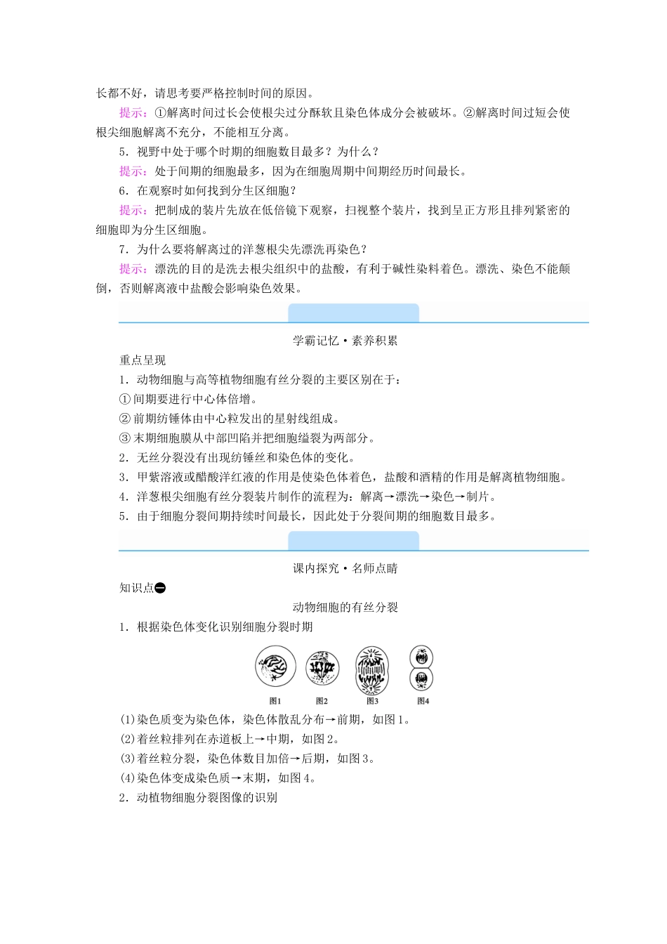 高中生物 第6章 细胞的生命历程 第1节 细胞的增殖 第2课时 动物细胞的有丝分裂与观察根尖分生区组织细胞的有丝分裂学案 新人教版必修1-新人教版高中必修1生物学案_第3页