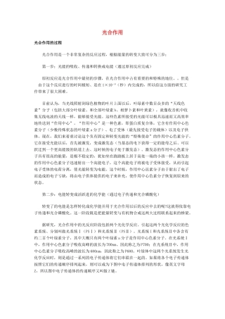 高中生物《光合作用》文字素材1 浙教版必修1