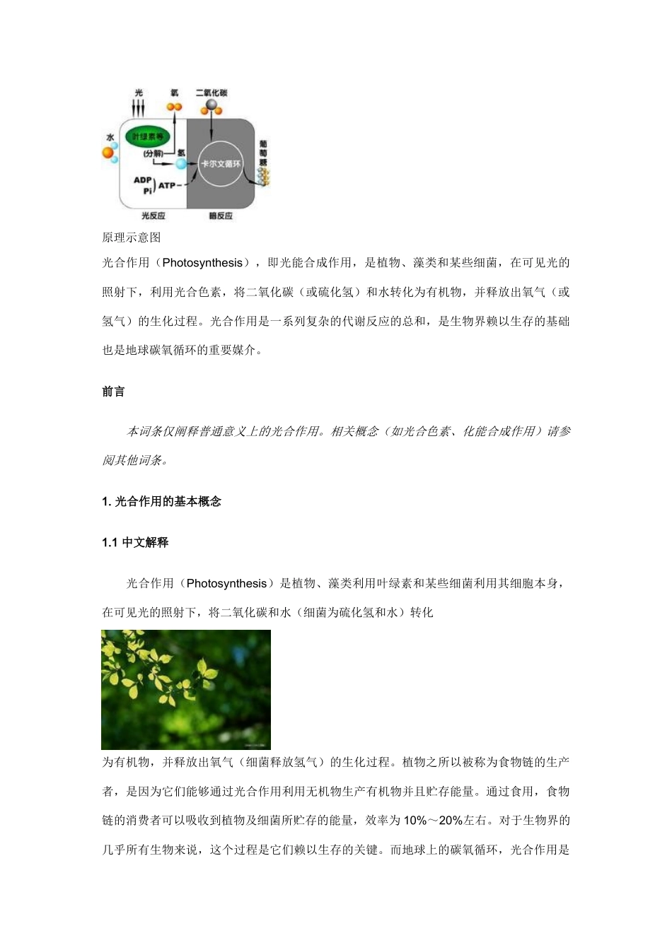 高中生物《光合作用》文字素材2 浙教版必修1_第2页