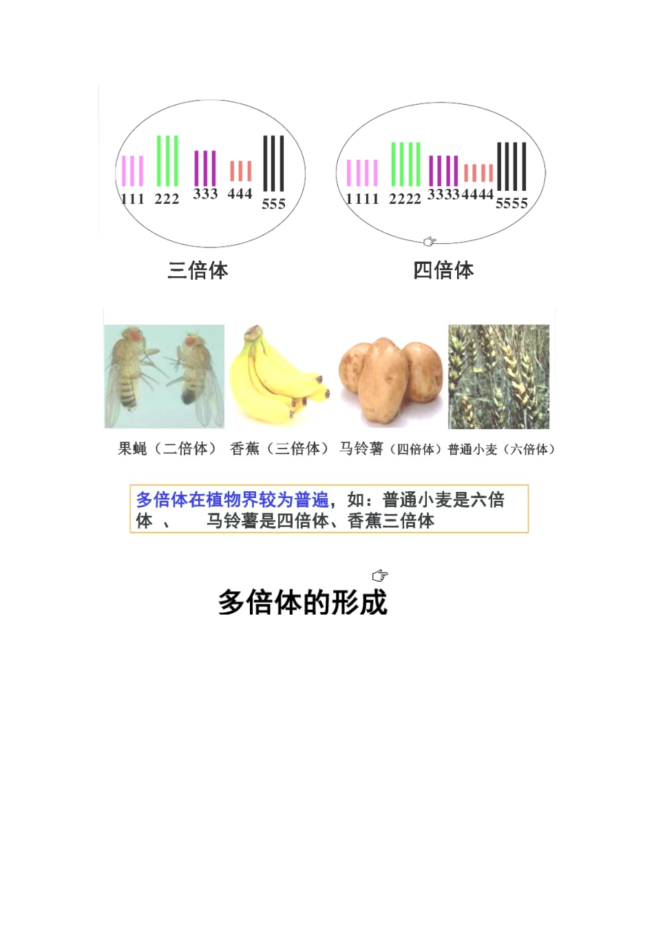 高中生物 第四章 生物的变异 4.1 生物变异的来源素材 浙科版必修2-浙科版高一必修2生物素材_第3页