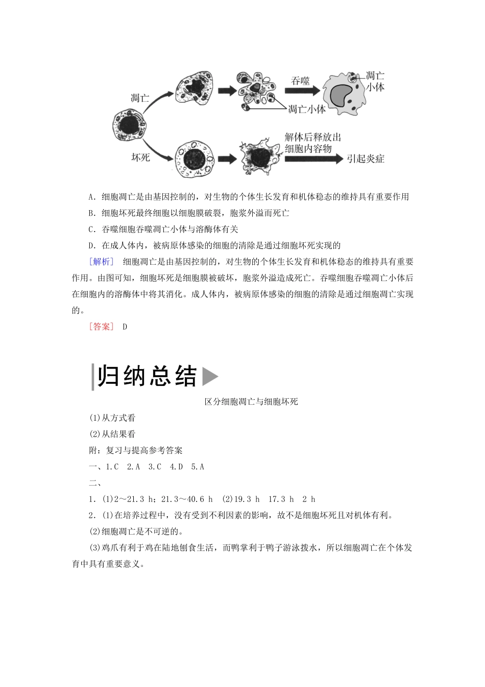 高中生物 第6章 细胞的生命历程章末整合提升教学案 新人教版必修1-新人教版高一必修1生物教学案_第3页