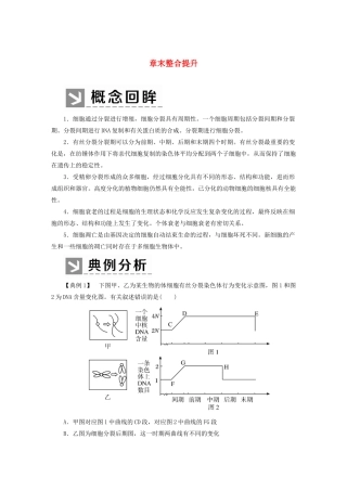 高中生物 第6章 细胞的生命历程章末整合提升教学案 新人教版必修1-新人教版高一必修1生物教学案