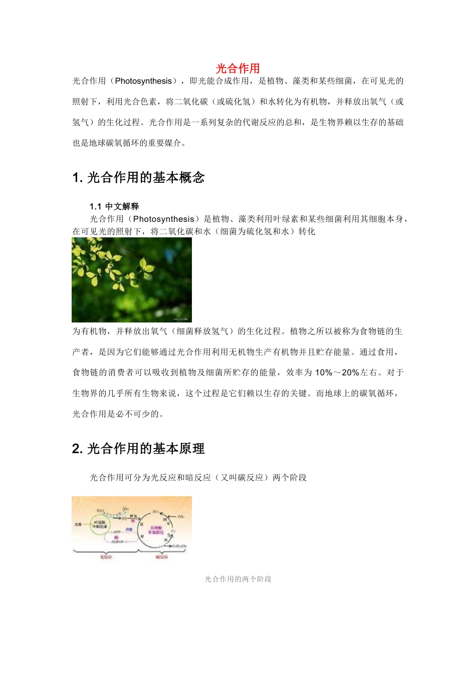 高中生物《光合作用》文字素材5 苏教版必修1_第1页