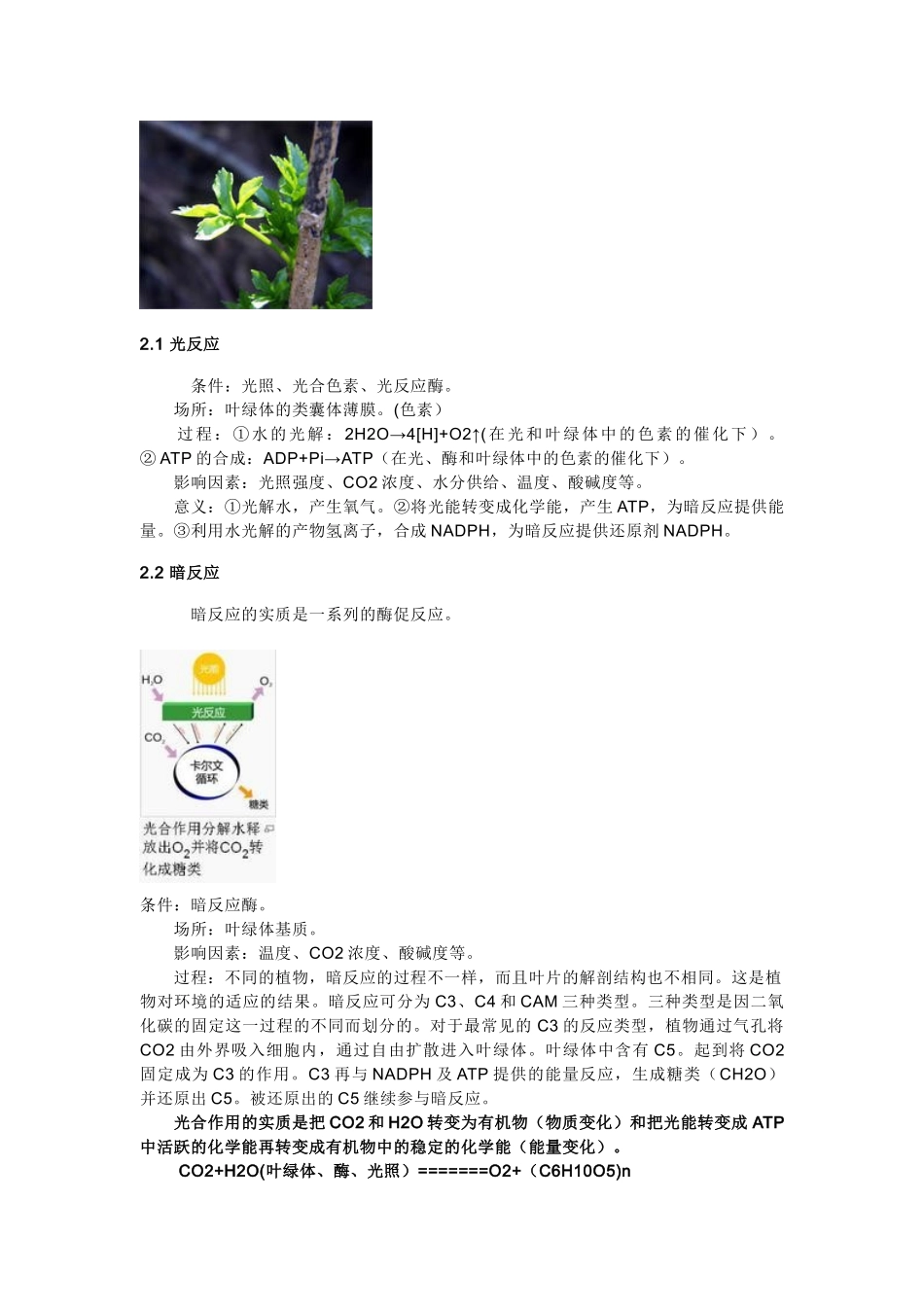 高中生物《光合作用》文字素材5 苏教版必修1_第2页