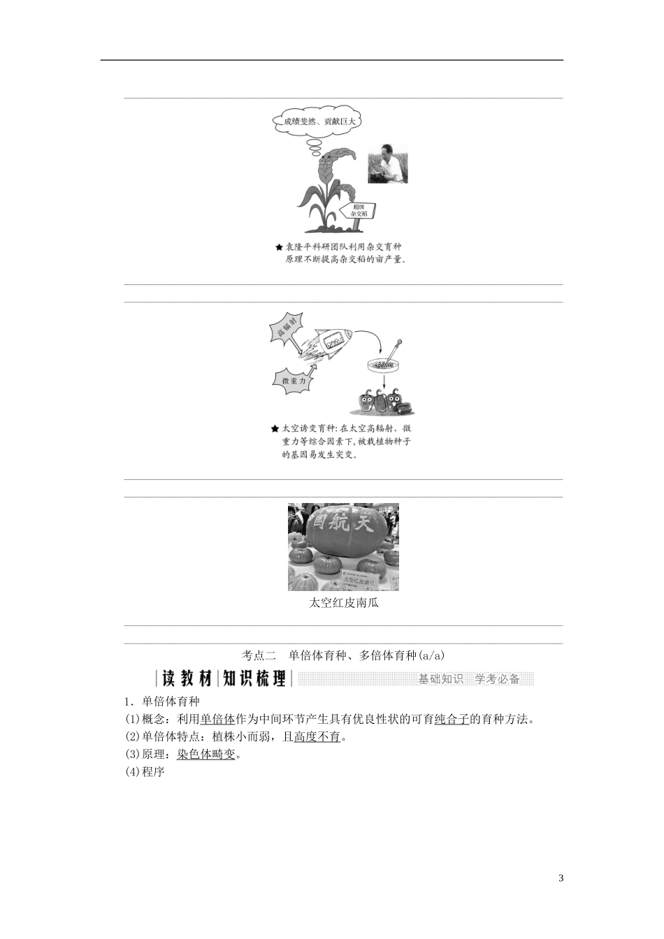 高中生物 第四章 生物的变异 第17课时 生物变异在生产上的应用同步备课教学案 浙科版必修2-浙科版高一必修2生物教学案_第3页