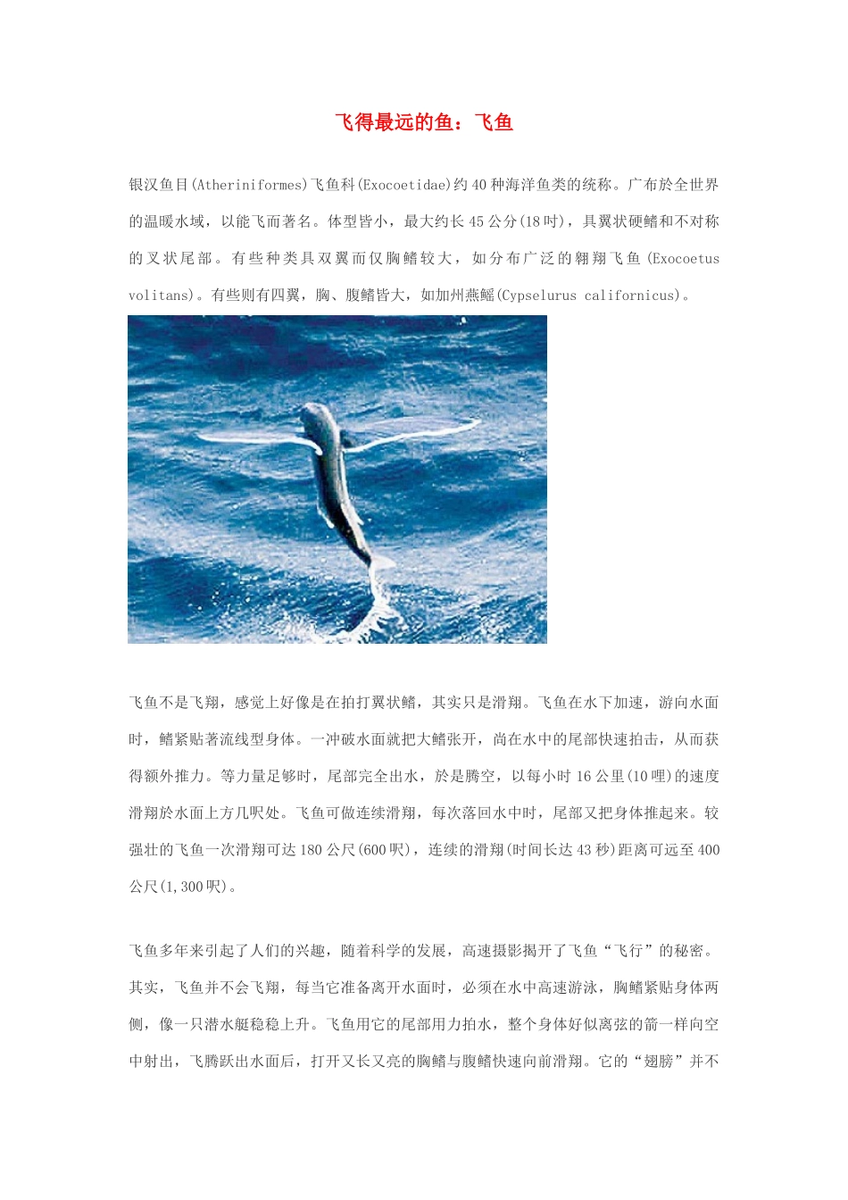 高中生物 飞得最远的鱼素材_第1页