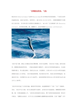 高中生物 飞得最远的鱼素材