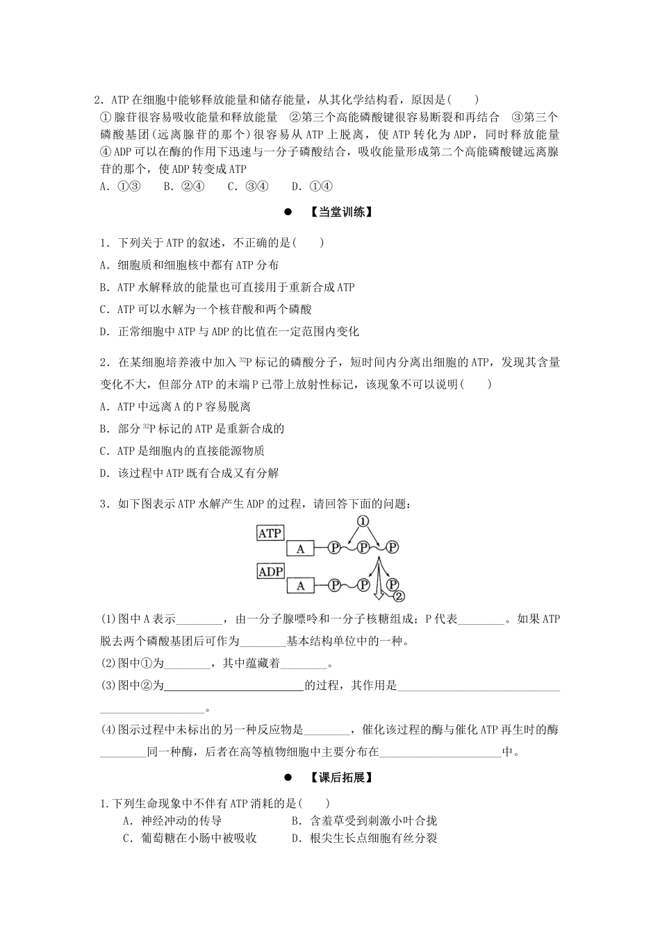高中生物 第五章 细胞的能量供应和利用 5.2 细胞的能量通货——ATP学案 新人教版必修1-新人教版高一必修1生物学案_第3页
