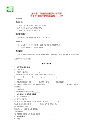 高中生物 第五章 细胞的能量供应和利用 5.2 细胞的能量通货——ATP学案 新人教版必修1-新人教版高一必修1生物学案