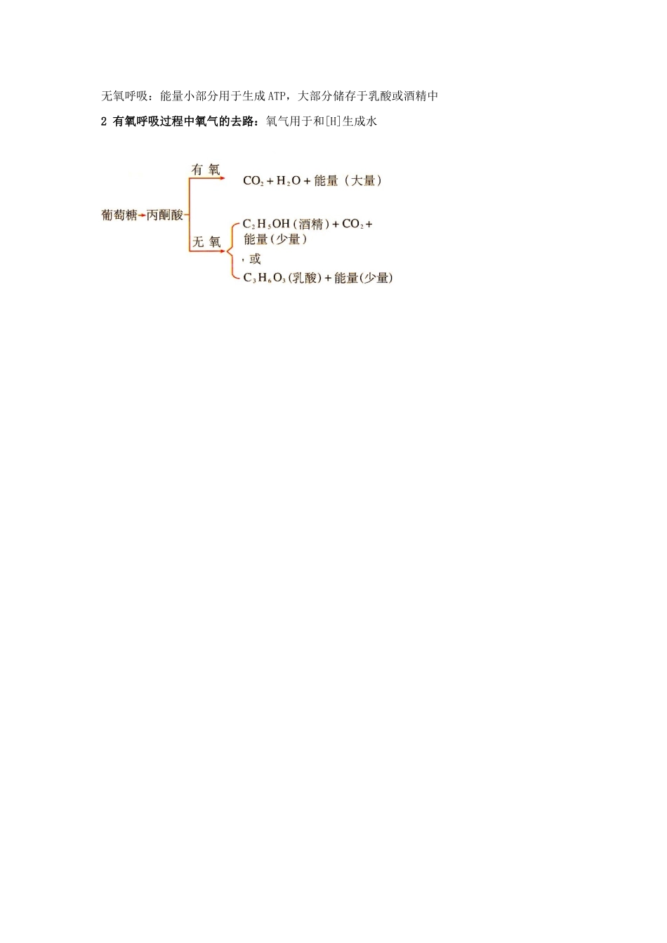 高中生物 第五章 细胞的能量供应和利用 ATP 的主要来源细胞呼吸知识点归纳 新人教版必修1-新人教版高一必修1生物素材_第2页