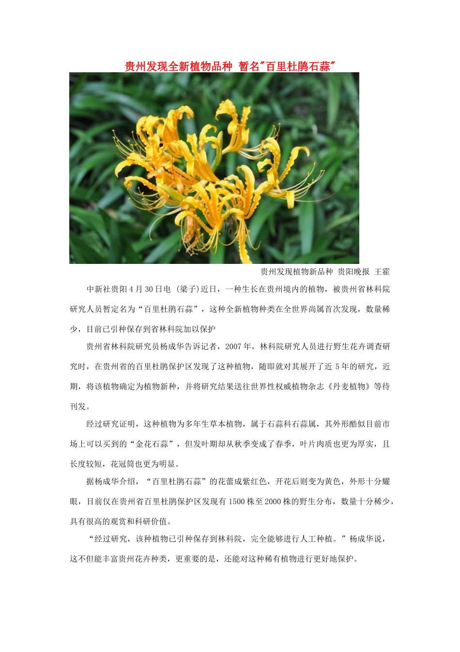 高中生物 贵州发现全新植物品种素材_第1页