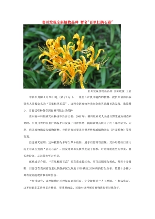 高中生物 贵州发现全新植物品种素材