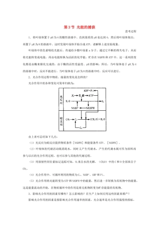 高中生物《光能的捕获》素材2 中图版必修1