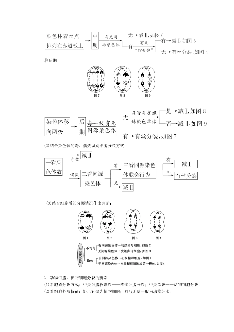 高中生物 第四章 生物的变异 小专题 大智慧 减数分裂与有丝分裂的比较与归纳（加试b）教学案 浙科版必修2-浙科版高一必修2生物教学案_第3页