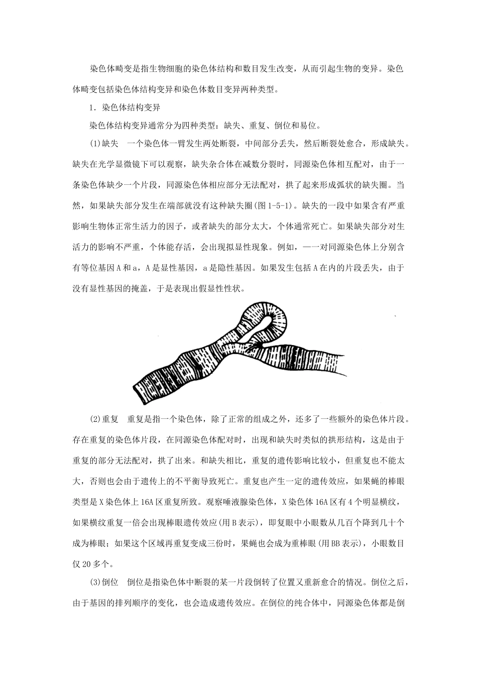 高中生物 第五章 遗传学与进化素材_第3页