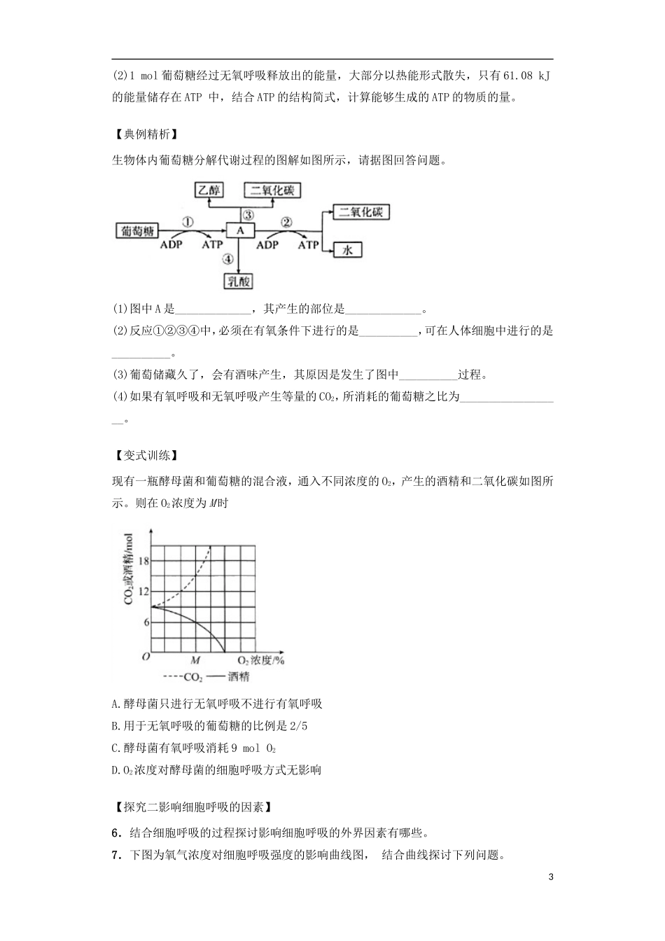 高中生物 课时19 无氧呼吸和细胞呼吸原理的应用导学案 新人教版必修1-新人教版高一必修1生物学案_第3页