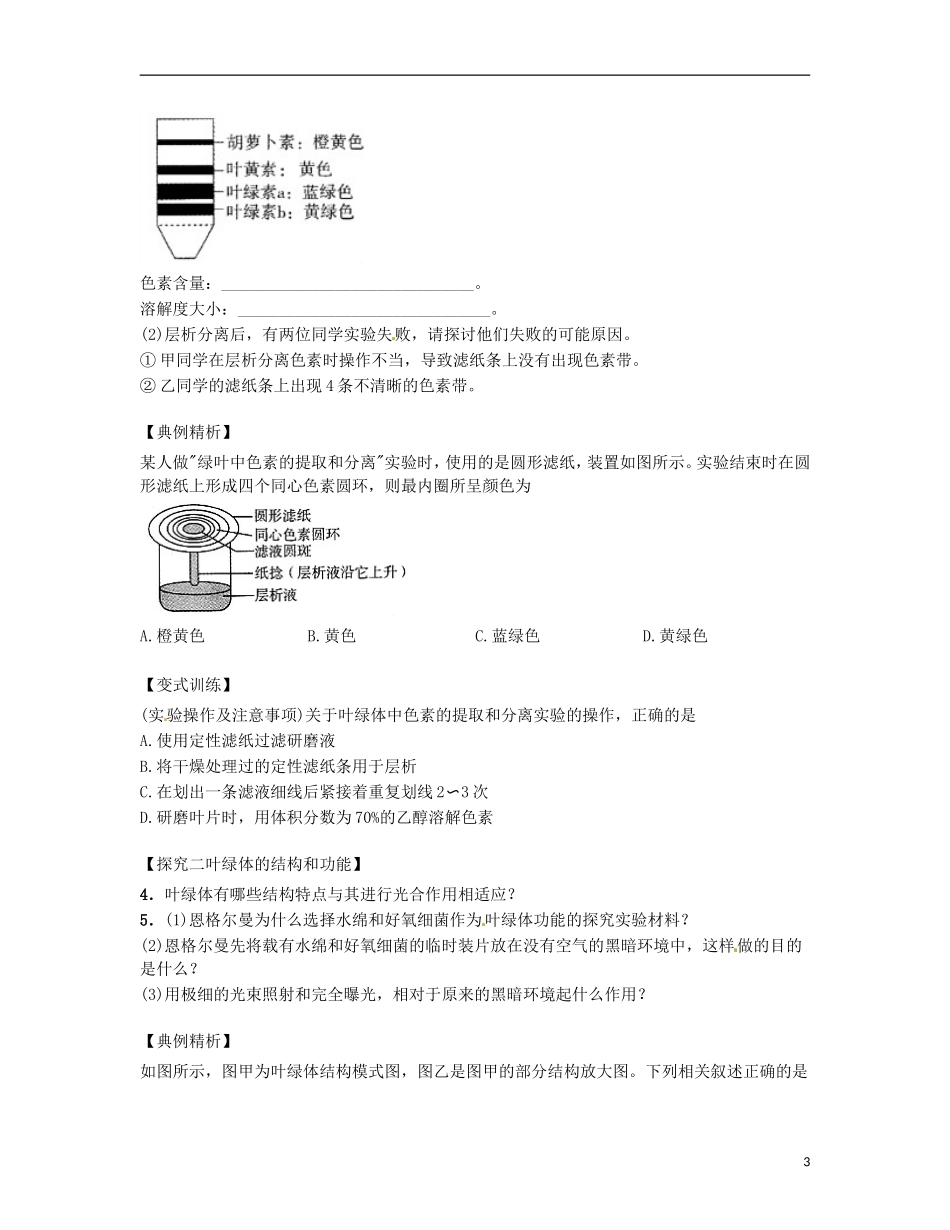 高中生物 课时20 捕获光能的色素和结构导学案 新人教版必修1-新人教版高一必修1生物学案_第3页