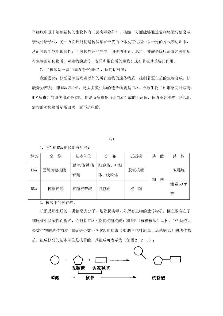 高中生物《核酸的结构和功能》素材1 中图版必修1_第2页