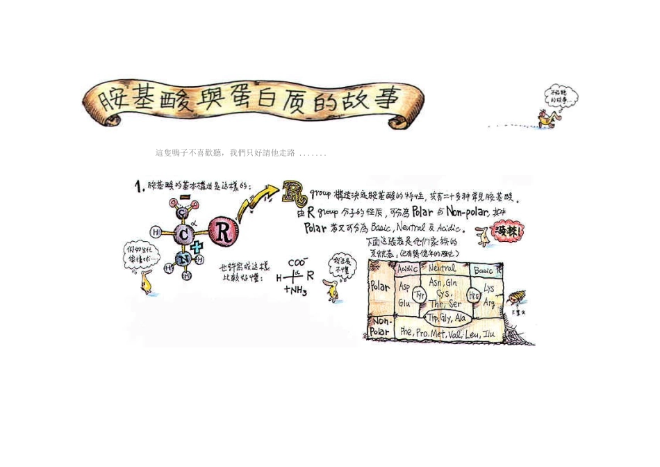 高中生物《生命活动的主要承担者——蛋白质》文字素材1 新人教版必修1_第1页