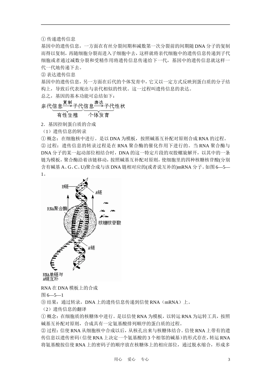 高中生物《基因的表达》学案4 中图版必修2_第3页