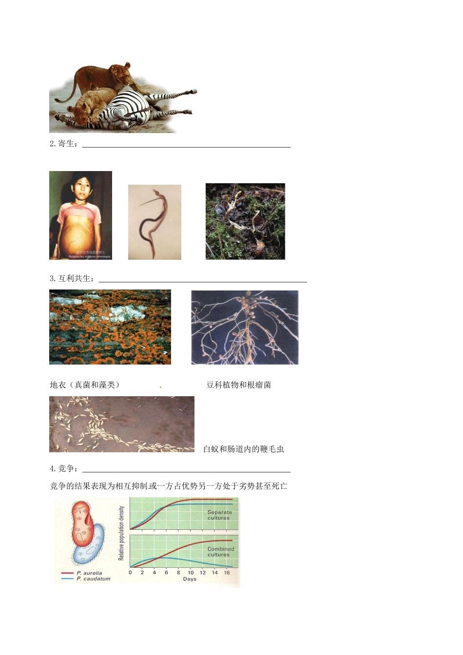高中生物 群落素材 新人教版必修3-新人教版高二必修3生物素材_第2页