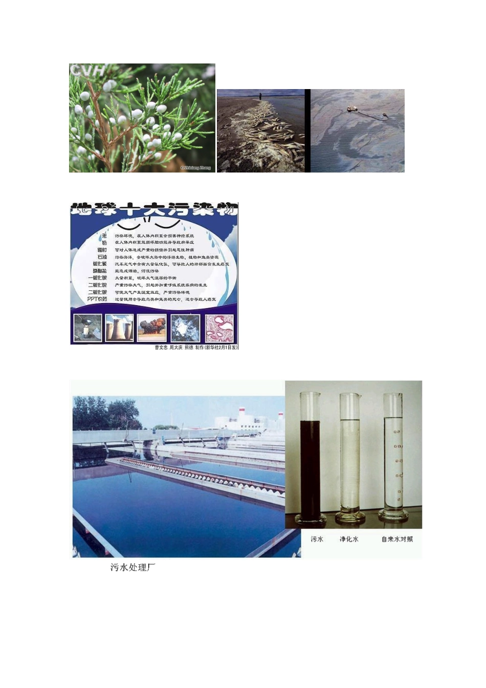 高中生物《生物净化的原理及其应用》文字素材1 新人教版选修3_第2页