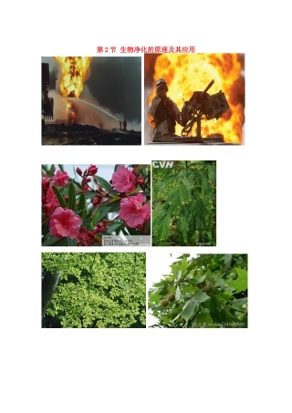 高中生物《生物净化的原理及其应用》文字素材1 新人教版选修3