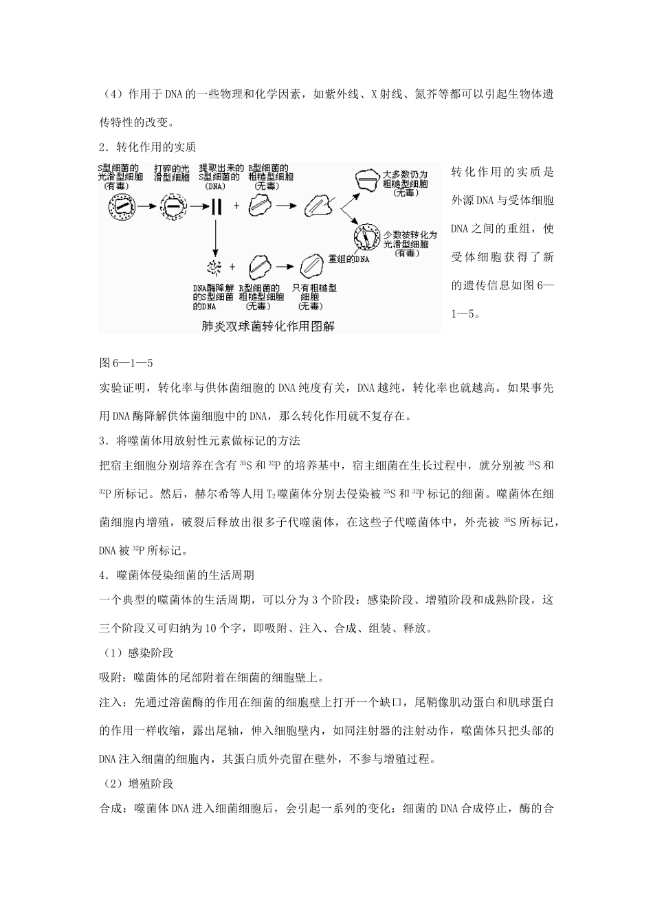 高中生物 遗传物质的发现 素材1 中图版必修2_第2页