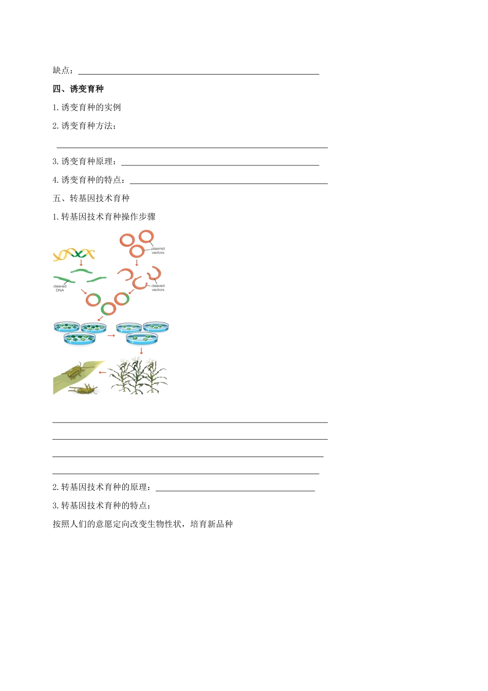 高中生物 育种素材 新人教版必修2-新人教版高一必修2生物素材_第3页