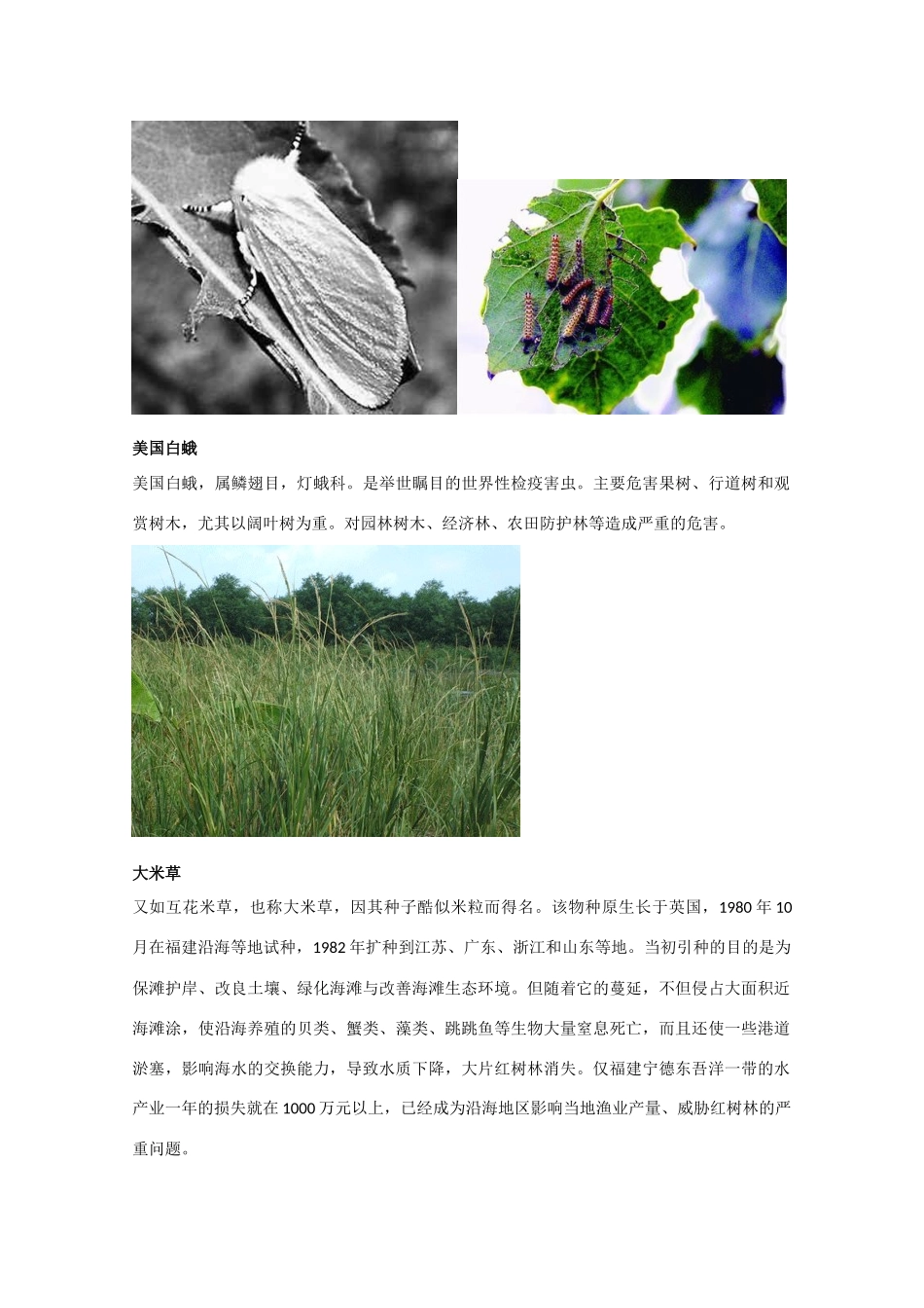 高中生物《生物性污染及其预防》文字素材1 新人教版选修2_第3页