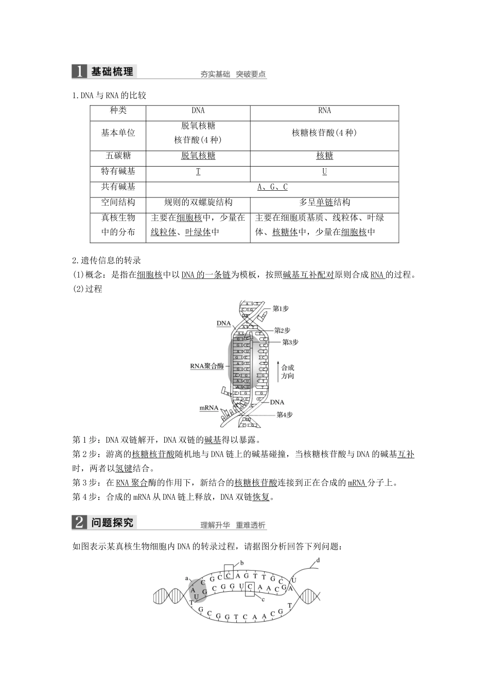 高中生物 第四章 遗传的分子基础 第三节 基因控制蛋白质的合成 第1课时教学案 苏教版必修2-苏教版高一必修2生物教学案_第3页