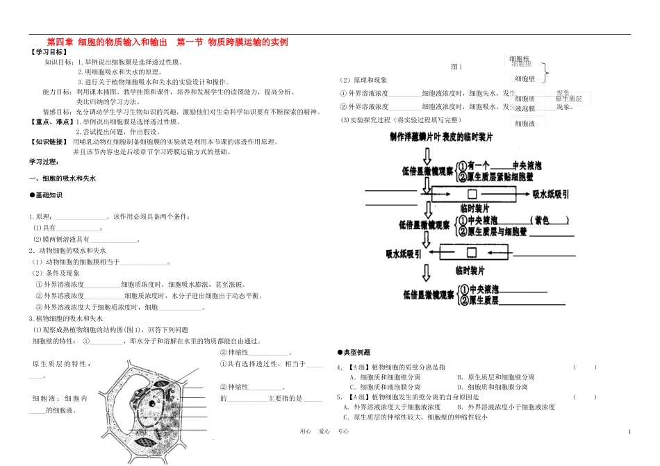 高中生物《物质跨膜运输的实例》学案5 新人教版必修1_第1页