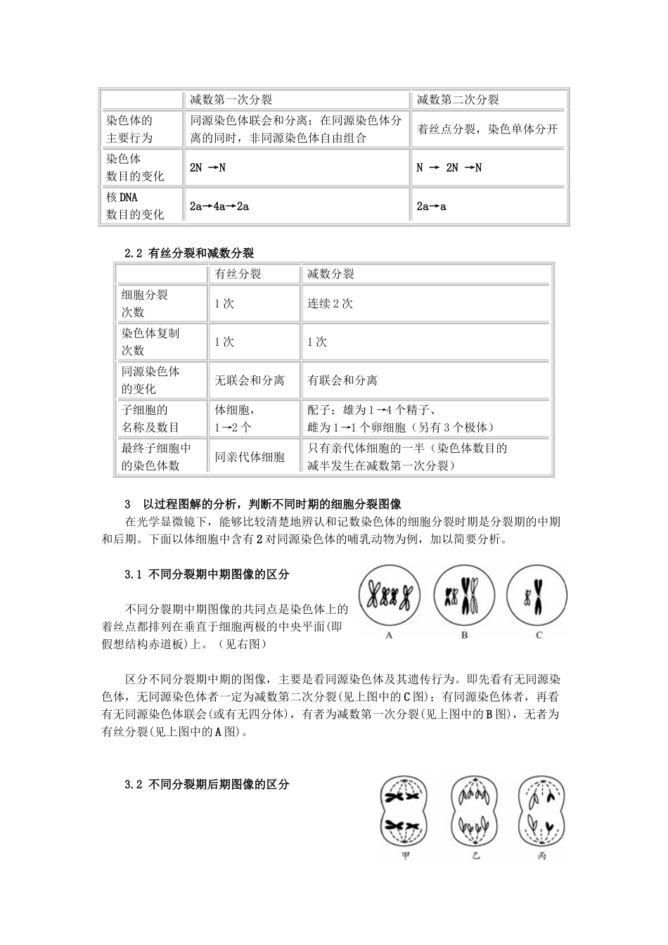 高中生物《减数分裂和受精作用》文字素材1 新人教版必修2_第2页