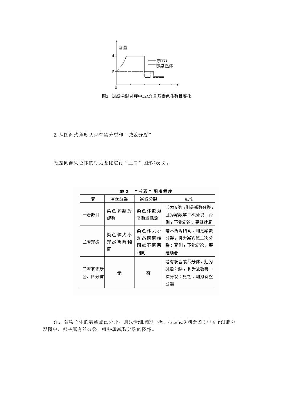 高中生物《减数分裂和受精作用》文字素材3 新人教版必修2_第2页