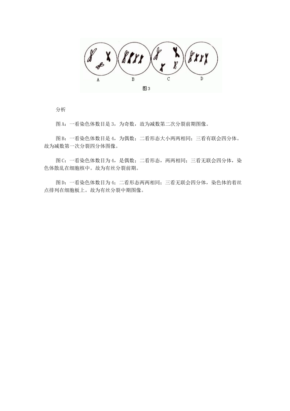 高中生物《减数分裂和受精作用》文字素材3 新人教版必修2_第3页