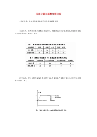 高中生物《减数分裂和受精作用》文字素材3 新人教版必修2