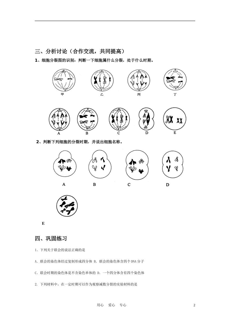 高中生物《减数分裂与配子形成》学案6 中图版必修2_第2页