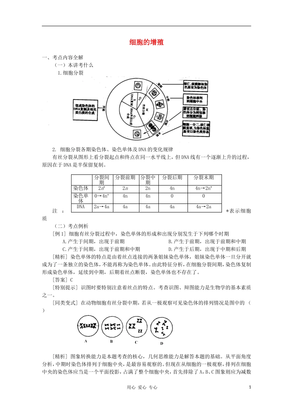 高中生物《细胞的增殖》学案3 浙教版必修1_第1页