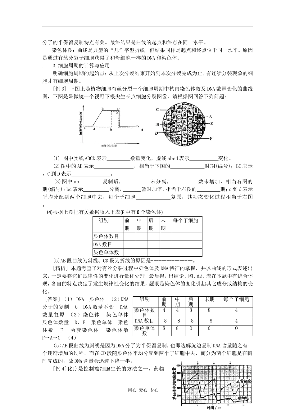 高中生物《细胞的增殖》学案3 浙教版必修1_第3页
