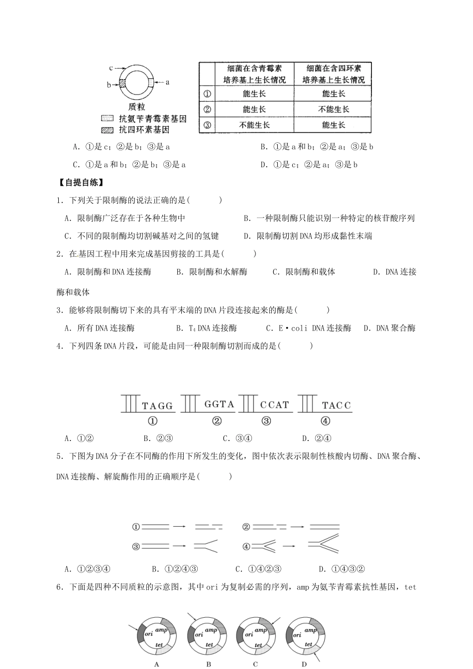 高中生物 第一章 第1节 DNA重组技术的基本工具学案 新人教版选修3-新人教版高二选修3生物学案_第3页