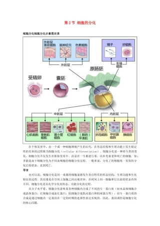 高中生物《细胞分化、衰老和凋亡》素材2 苏教版必修1
