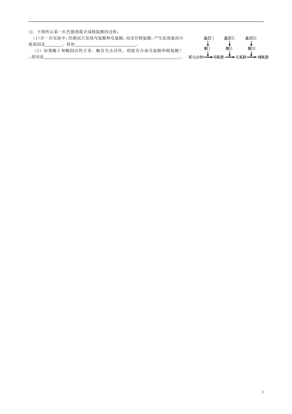 高中生物《5.1 基因突变和基因重组》学案 新人教版必修2-新人教版高一必修2生物学案_第3页