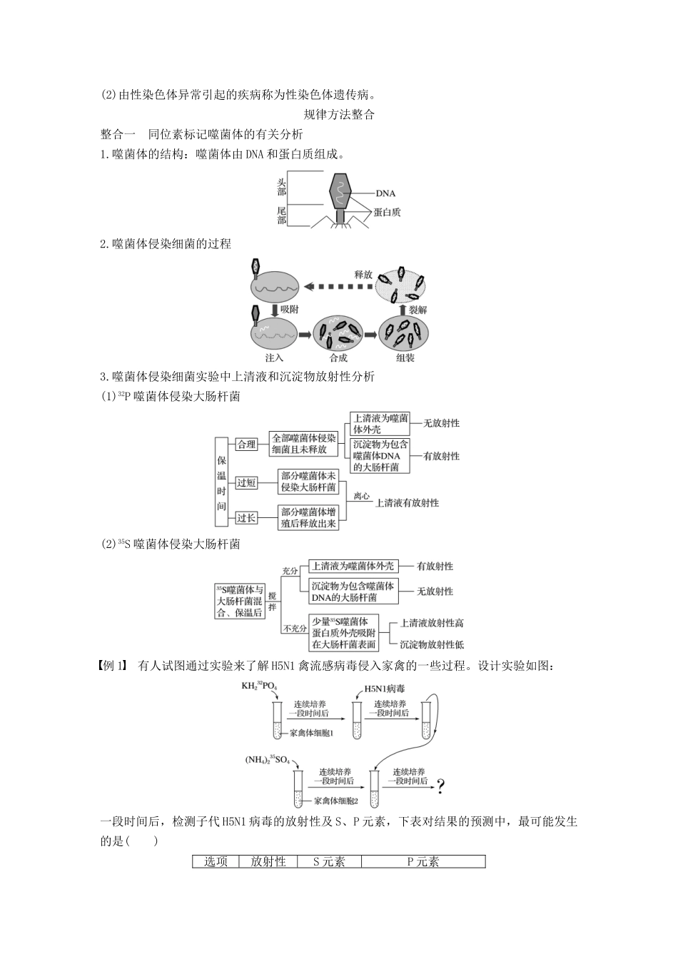 高中生物 第四章 遗传的分子基础章末整合提升教学案 苏教版必修2-苏教版高一必修2生物教学案_第2页