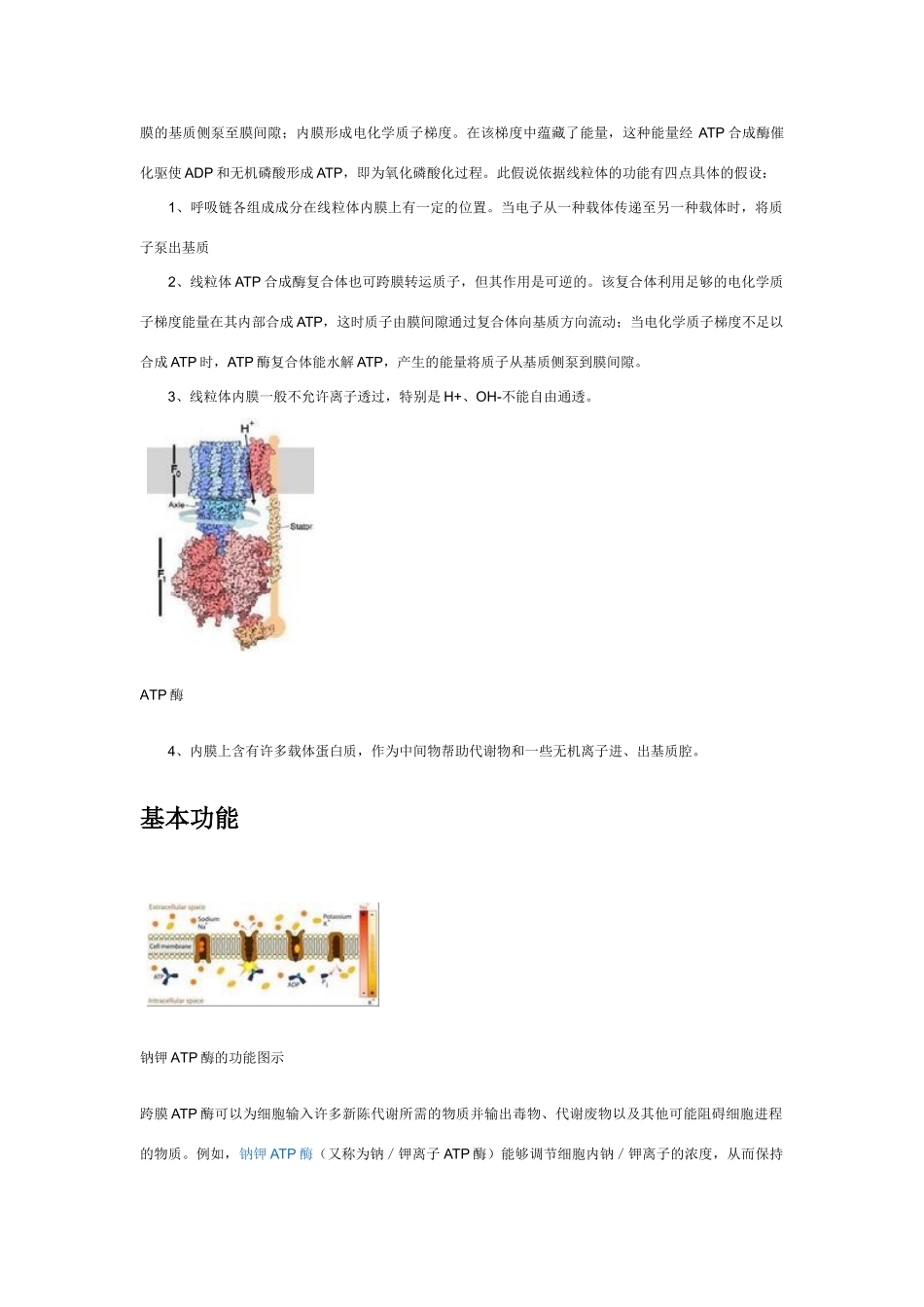 高中生物《ATP和酶》文字素材4 苏教版必修1_第3页