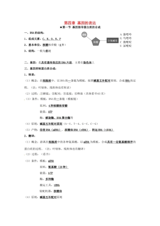 高中生物 第四章《基因的表达》知识点总结 新人教版必修2-新人教版高一必修2生物素材
