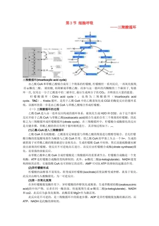 高中生物《细胞呼吸》文字素材1 苏教版必修1