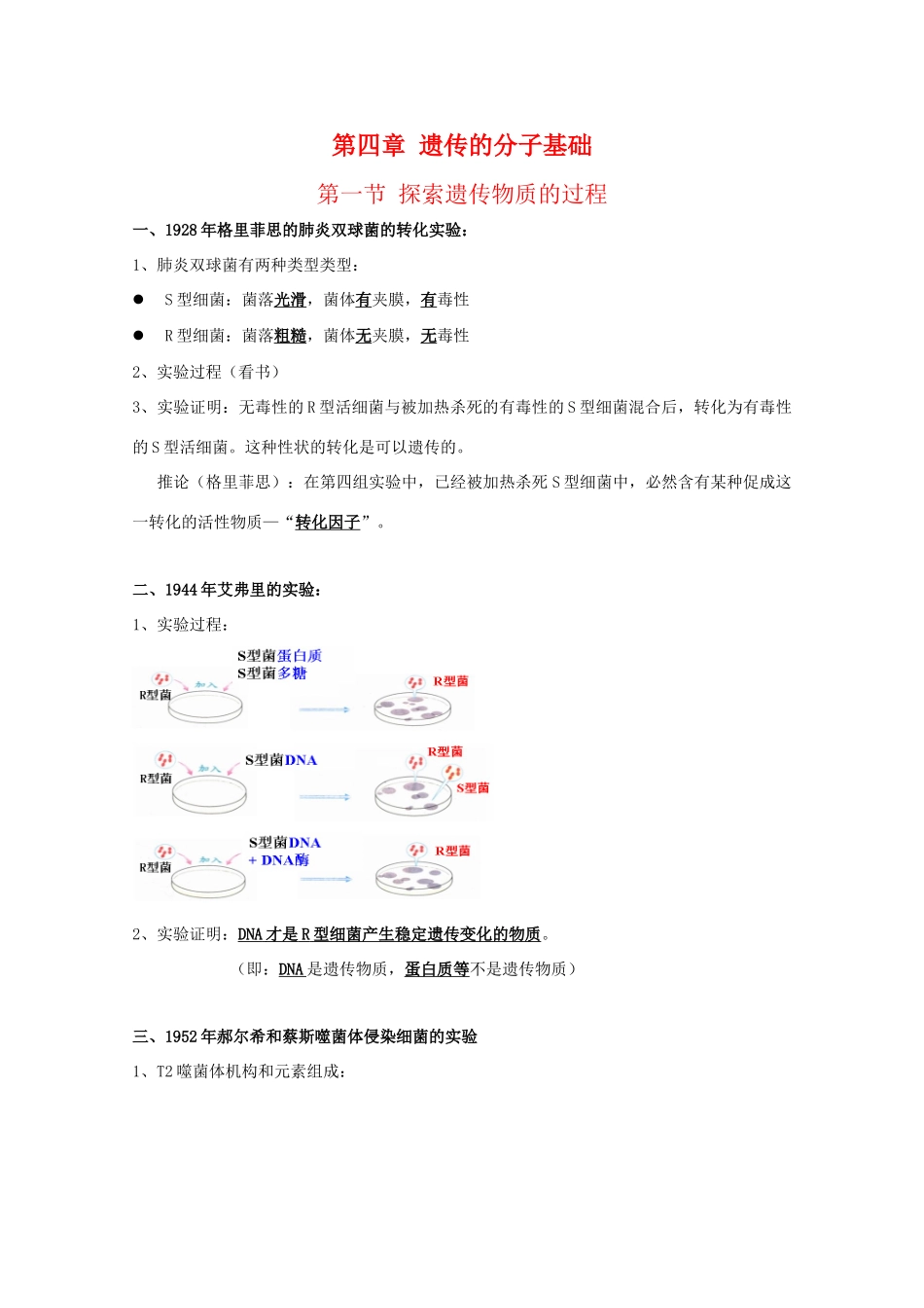 高中生物 第四章《遗传的分子基础》复习提纲素材 苏教版必修2_第1页